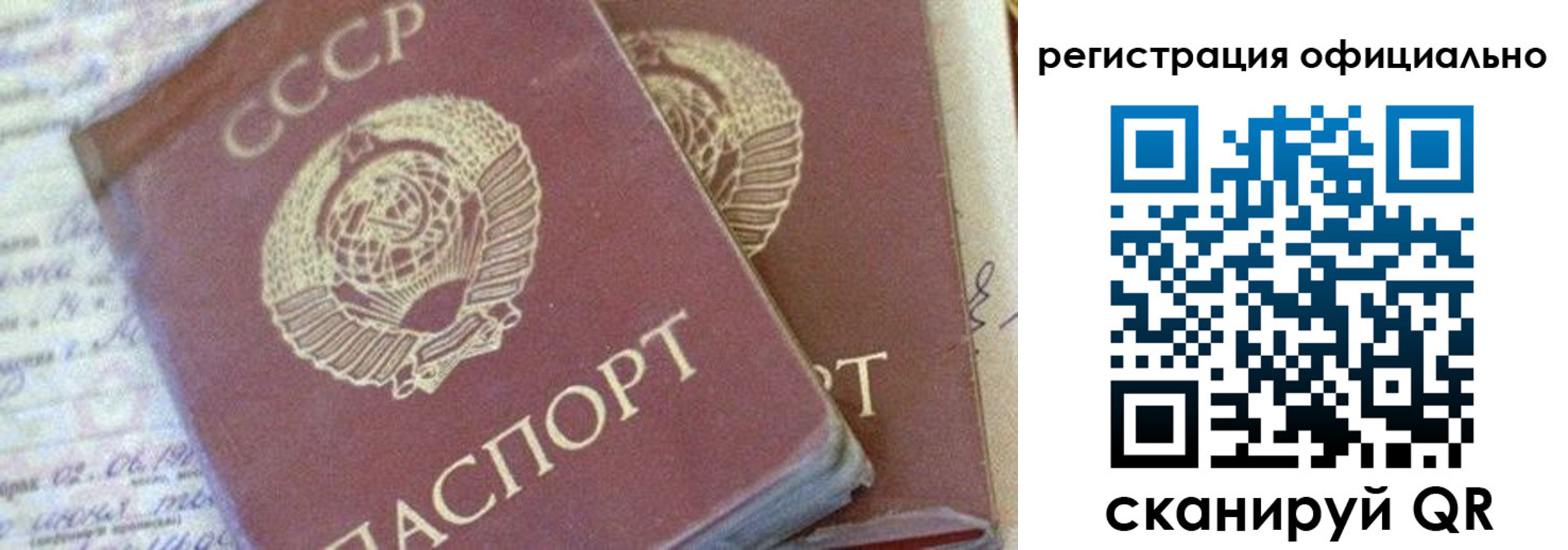 регистрация для школы в Владимирской области